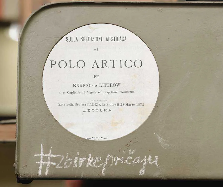 Polo artico