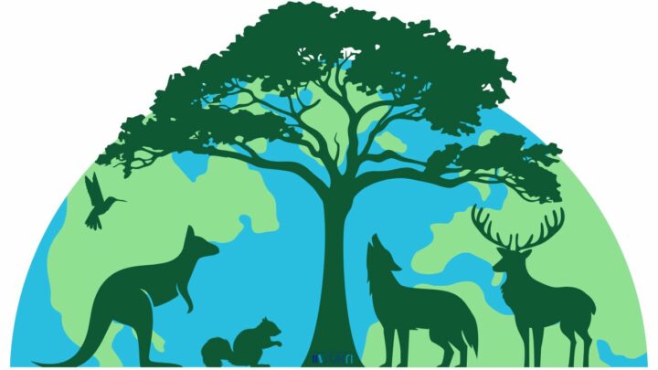 Svjetski dan životinja kroz korice knjiga