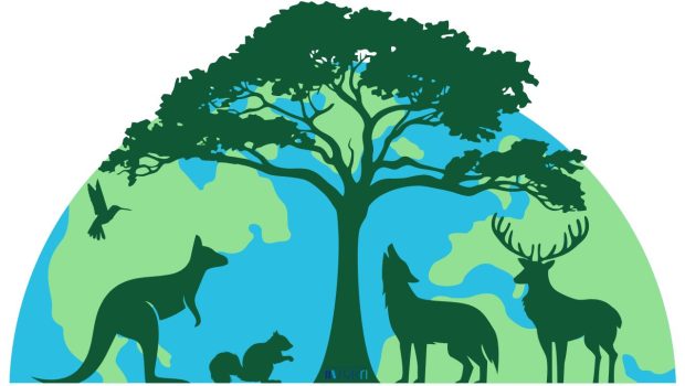 Svjetski dan životinja kroz korice knjiga